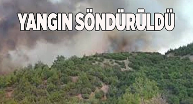Yangın söndürüldü