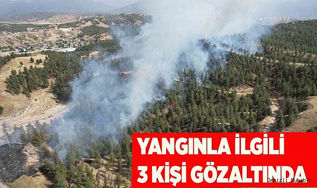 Yangında 30 hektar alan yandı, 3 kişi gözaltında