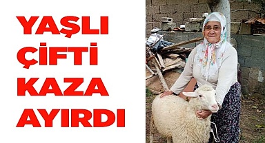 Yaşlı çifti kaza ayırdı