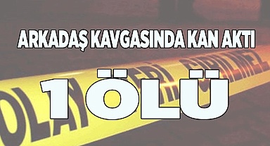 Arkadaşların parktaki kavgasında kan aktı: 1 ölü