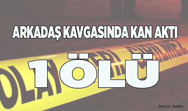 Arkadaşların parktaki kavgasında kan aktı: 1 ölü