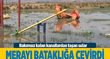 Bakımsız kalan kanallar merayı bataklığa çevirdi