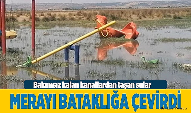 Bakımsız kalan kanallar merayı bataklığa çevirdi