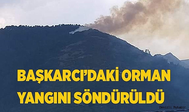Başkarcı’daki orman yangını söndürüldü