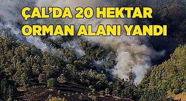 Çal’da makilik alanda çıkan yangında 20 hektar alan zarar gördü