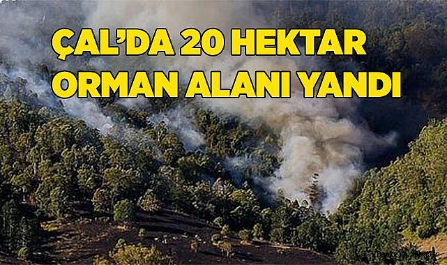 Çal’da makilik alanda çıkan yangında 20 hektar alan zarar gördü