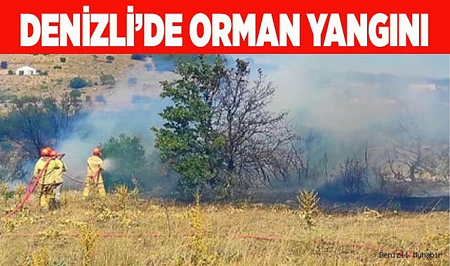 Denizli’de ormanlık alanda çıkan yangına müdahale ediliyor