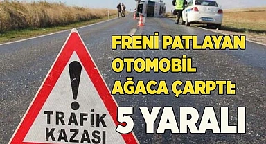 Freni patlayan otomobil ağaca çarptı: 5 yaralı