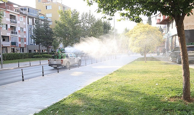 PAMUKKALE’DE UÇKUN MÜCADELESİ SÜRÜYOR
