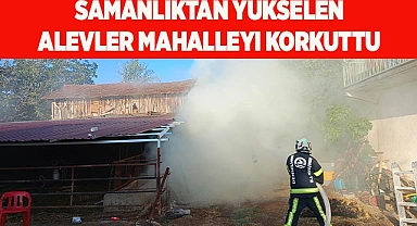 Samanlıktan yükselen alevler mahalleyi korkuttu