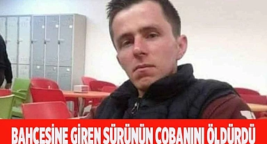 Bahçesine giren sürünün çobanını öldürdü
