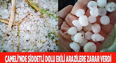 Çameli’nde şiddetli dolu ekili arazilere zarar verdi