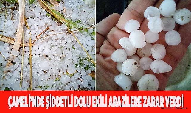 Çameli’nde şiddetli dolu ekili arazilere zarar verdi