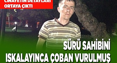 Çoban cinayetinin detayları ortaya çıktı