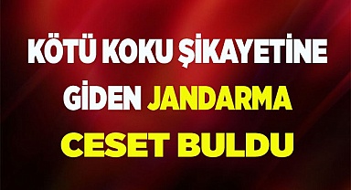 Kötü koku şikayetine giden Jandarma ceset buldu