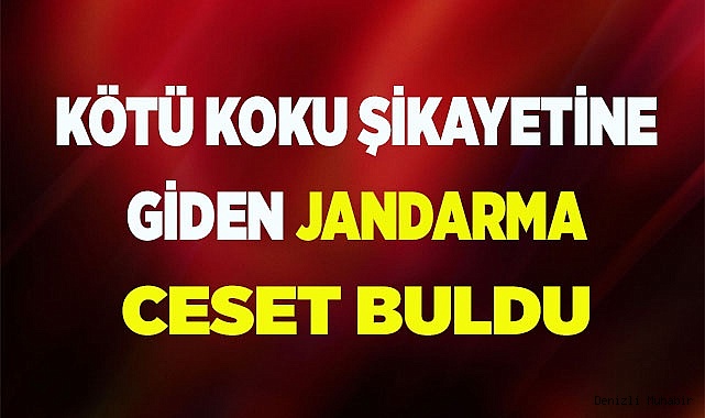 Kötü koku şikayetine giden Jandarma ceset buldu