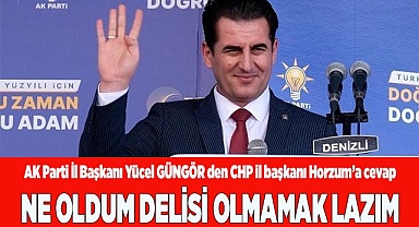 NE OLDUM DELİSİ OLMAMAK LAZIM