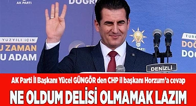 NE OLDUM DELİSİ OLMAMAK LAZIM