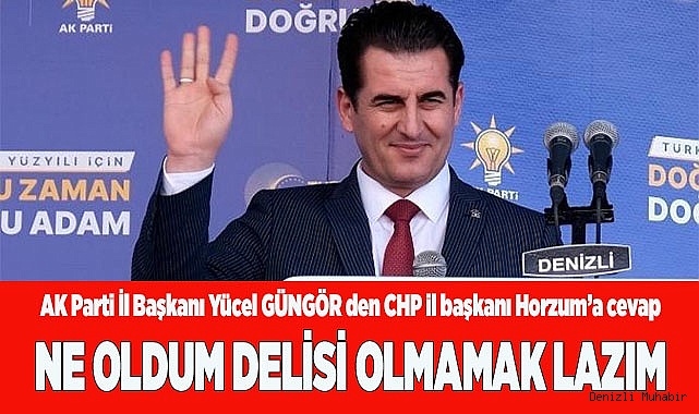 NE OLDUM DELİSİ OLMAMAK LAZIM