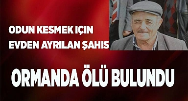 Odun kesmek için evden ayrılan şahıs ormanda ölü bulundu