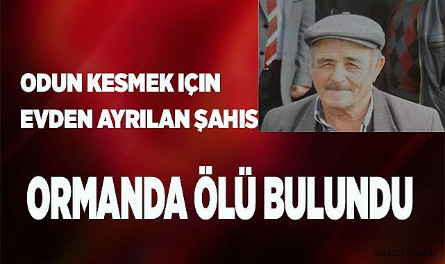 Odun kesmek için evden ayrılan şahıs ormanda ölü bulundu