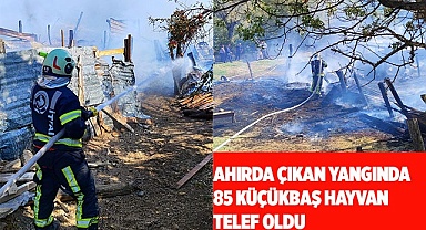 Ahırda çıkan yangında 85 küçükbaş hayvan telef oldu