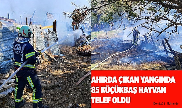 Ahırda çıkan yangında 85 küçükbaş hayvan telef oldu