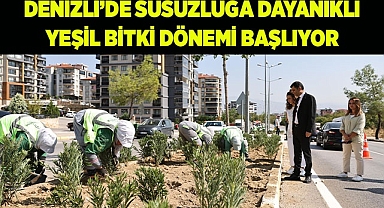 Denizli'de susuzluğa dayanıklı yeşil bitki dönemi başlıyor
