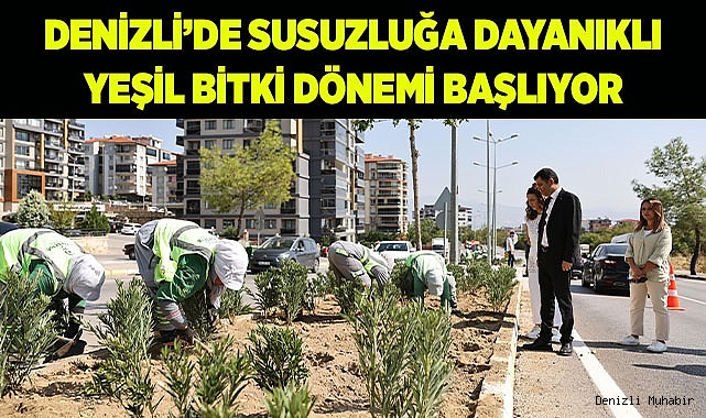 Denizli'de susuzluğa dayanıklı yeşil bitki dönemi başlıyor