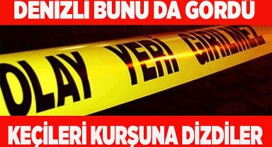 Denizli'de vahşet: Kurşunlanan 10 keçi telef oldu