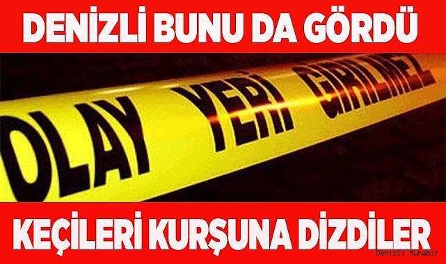 Denizli'de vahşet: Kurşunlanan 10 keçi telef oldu