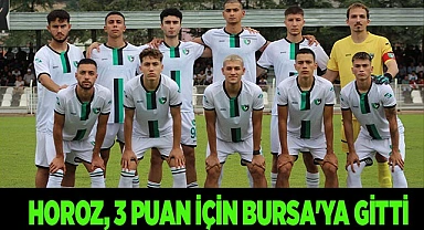 Horoz, 3 puan için Bursa'ya gitti