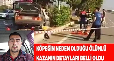 Köpeğin neden olduğu ölümlü kazanın detayları belli oldu