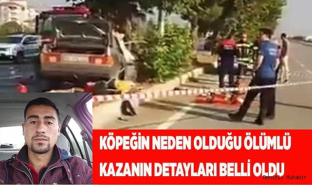 Köpeğin neden olduğu ölümlü kazanın detayları belli oldu