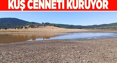 Kuraklığın vurduğu kuş cenneti can çekişiyor