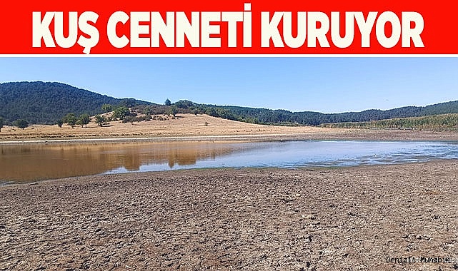 Kuraklığın vurduğu kuş cenneti can çekişiyor
