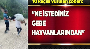 "Ne istediniz gebe hayvanlarımdan"
