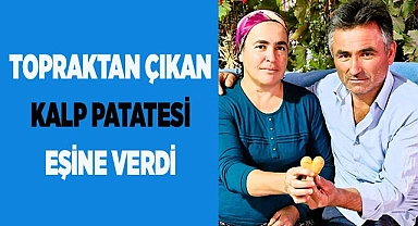 Topraktan çıkan kalp patatesi eşine verdi