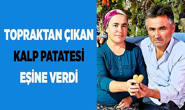 Topraktan çıkan kalp patatesi eşine verdi