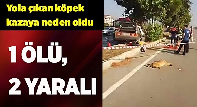 Yola çıkan köpek kazaya neden oldu: 1 ölü, 2 yaralı