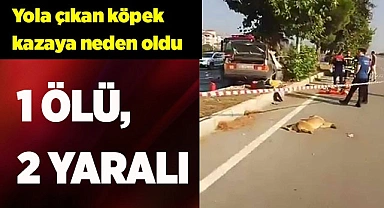 Yola çıkan köpek kazaya neden oldu: 1 ölü, 2 yaralı