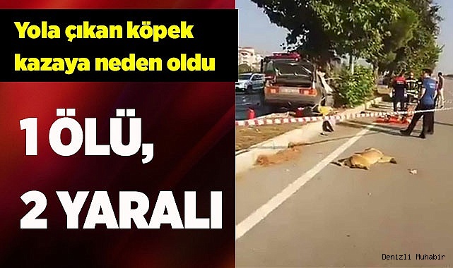 Yola çıkan köpek kazaya neden oldu: 1 ölü, 2 yaralı