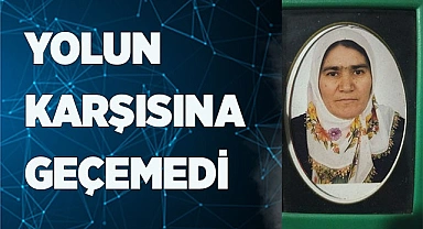 Yolun karşısına geçemedi