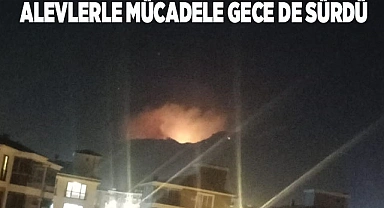 Alevlerle mücadele gece de sürdü