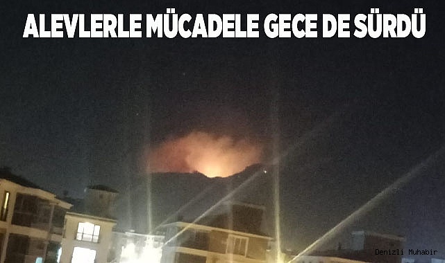 Alevlerle mücadele gece de sürdü