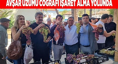 AVŞAR ÜZÜMÜ COĞRAFİ İŞARET ALMA YOLUNDA 