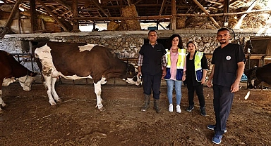 Büyükşehir mastit hastalığıyla mücadele ediyor