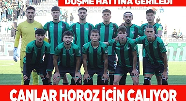 ÇANLAR HOROZ İÇİN ÇALIYOR