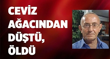 Ceviz ağacından düştü, öldü
