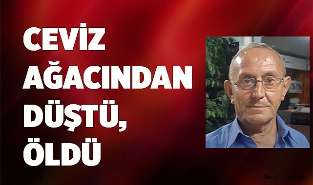 Ceviz ağacından düştü, öldü